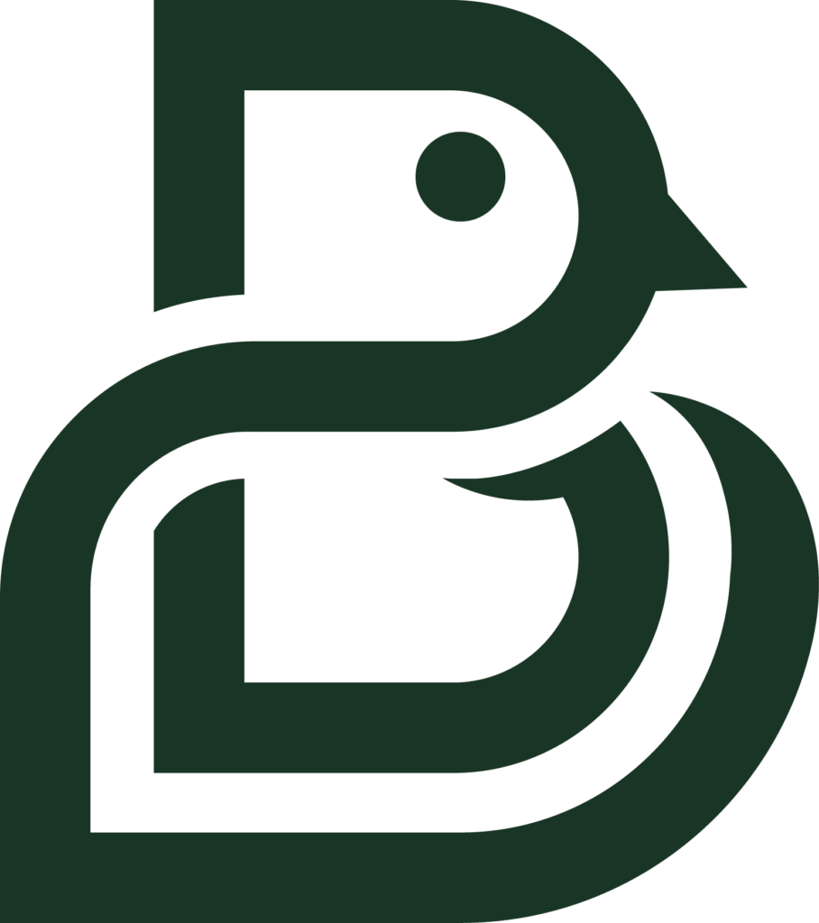 Brulife-11